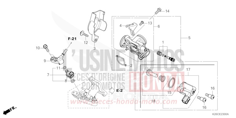 CORPS DE PAPILLON de MSX GROM A PEARL HORIZON WHITE (NHB61) 2024